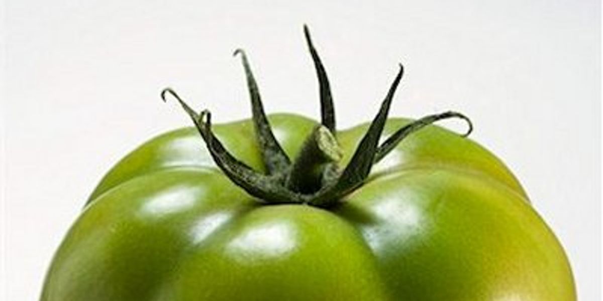 Fried green tomatoes - Chatelaine