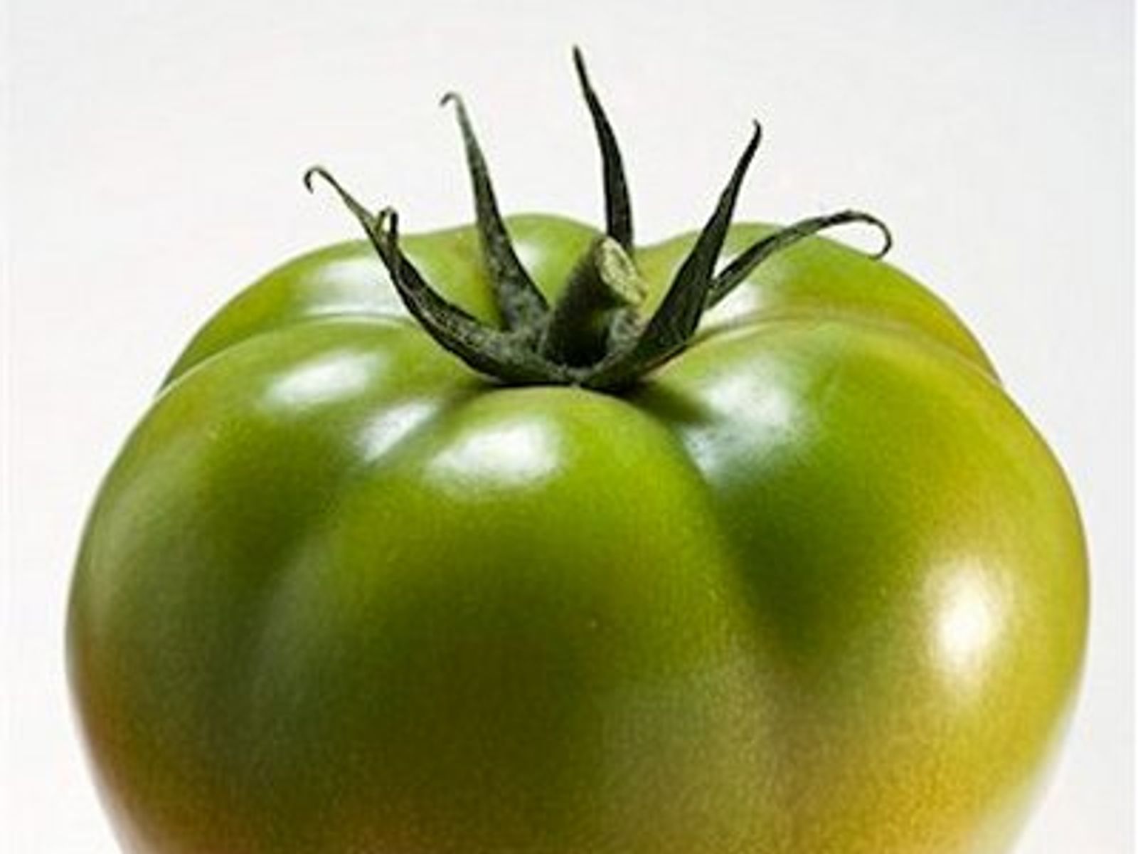 greentomato様⁂ Fried green tomatoes - Chatelaine