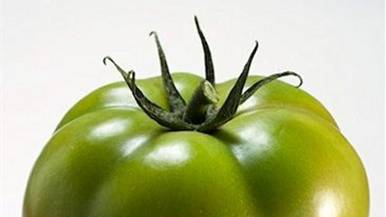 greentomatoさま Tomato-Green_550x550.jpg?v=