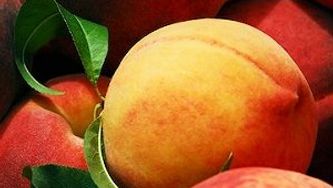 Fresh nectarine cobbler