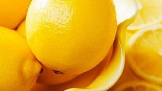 Lemon tiramisu