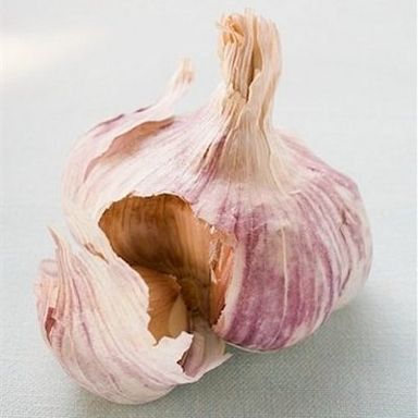 French-garlic sauce