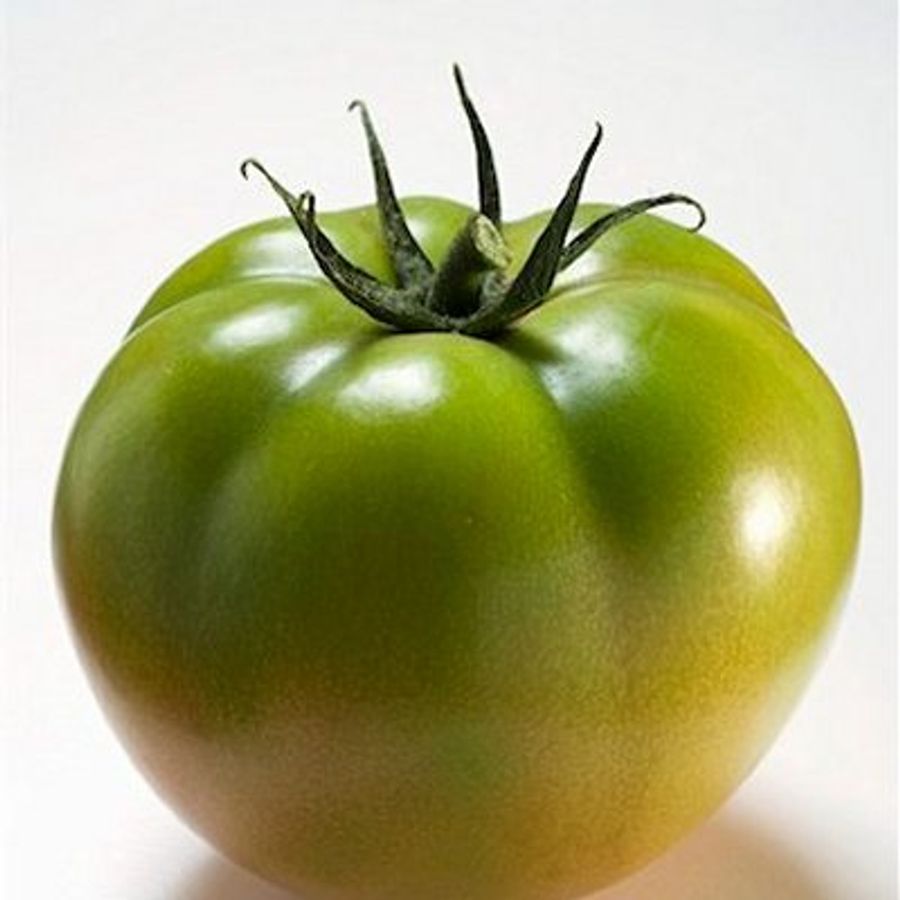 Fried green tomatoes - Chatelaine