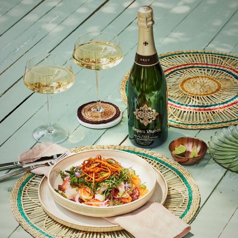 Bubbles & Bites: A Summer of Tapas with Segura Viudas Cava