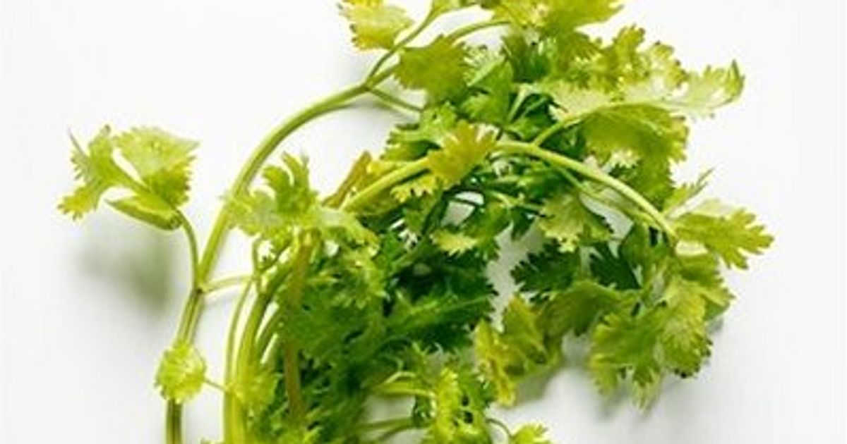 Corianderpesto sauce Chatelaine