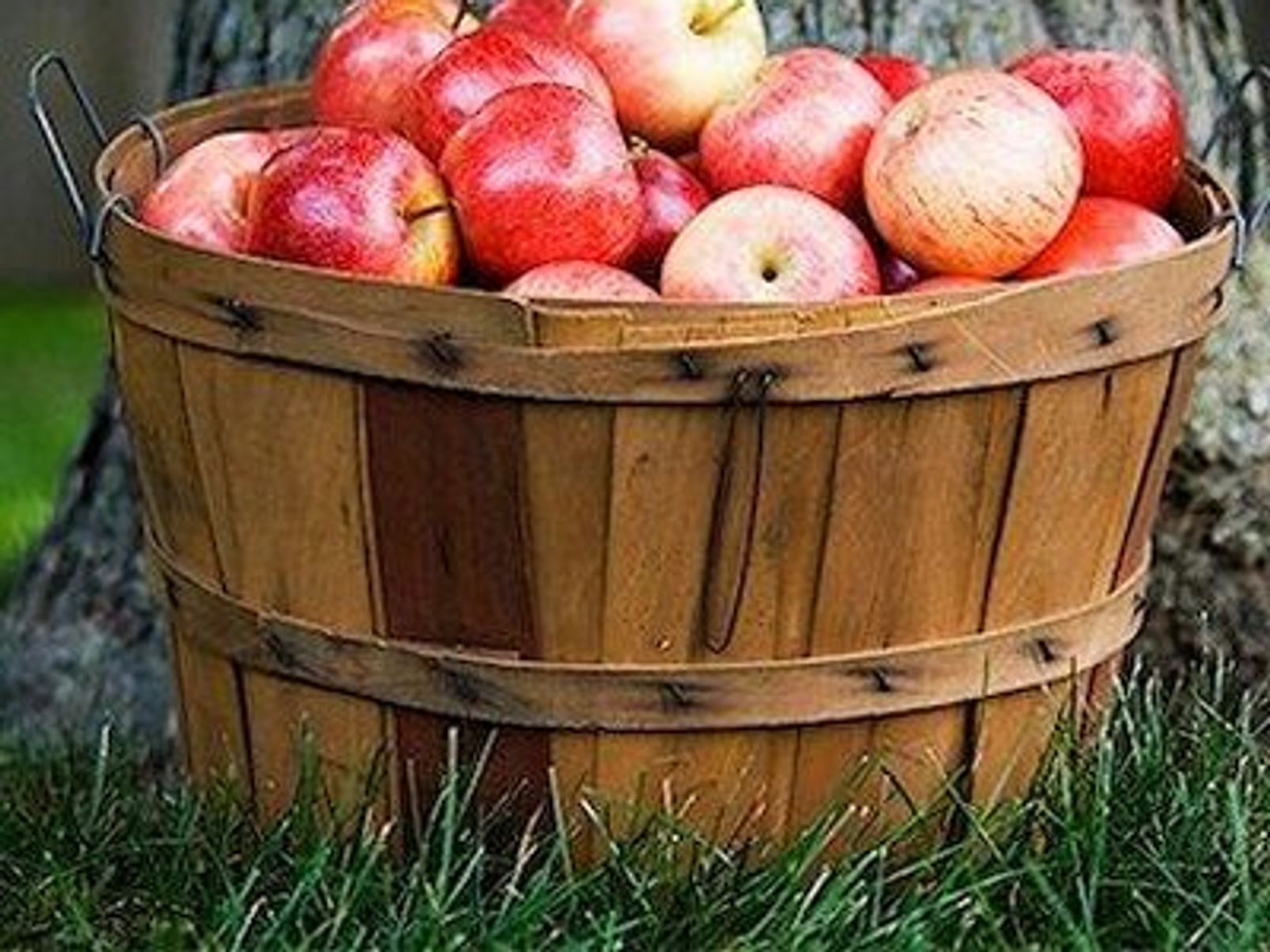 Baked ginger apples - Chatelaine