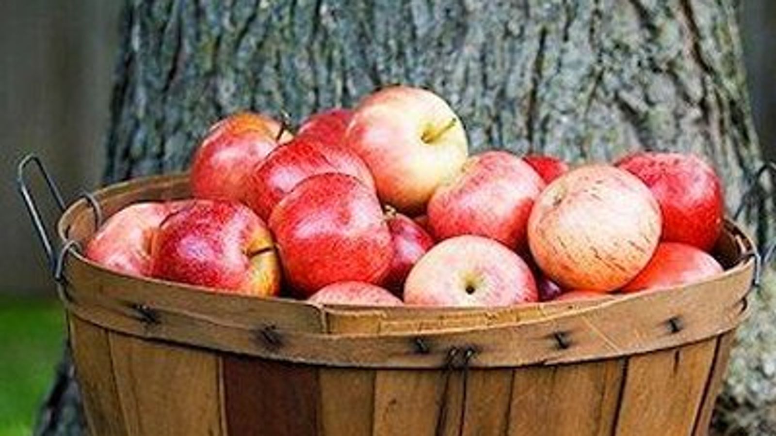 Baked ginger apples - Chatelaine