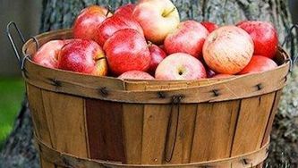 Baked ginger apples