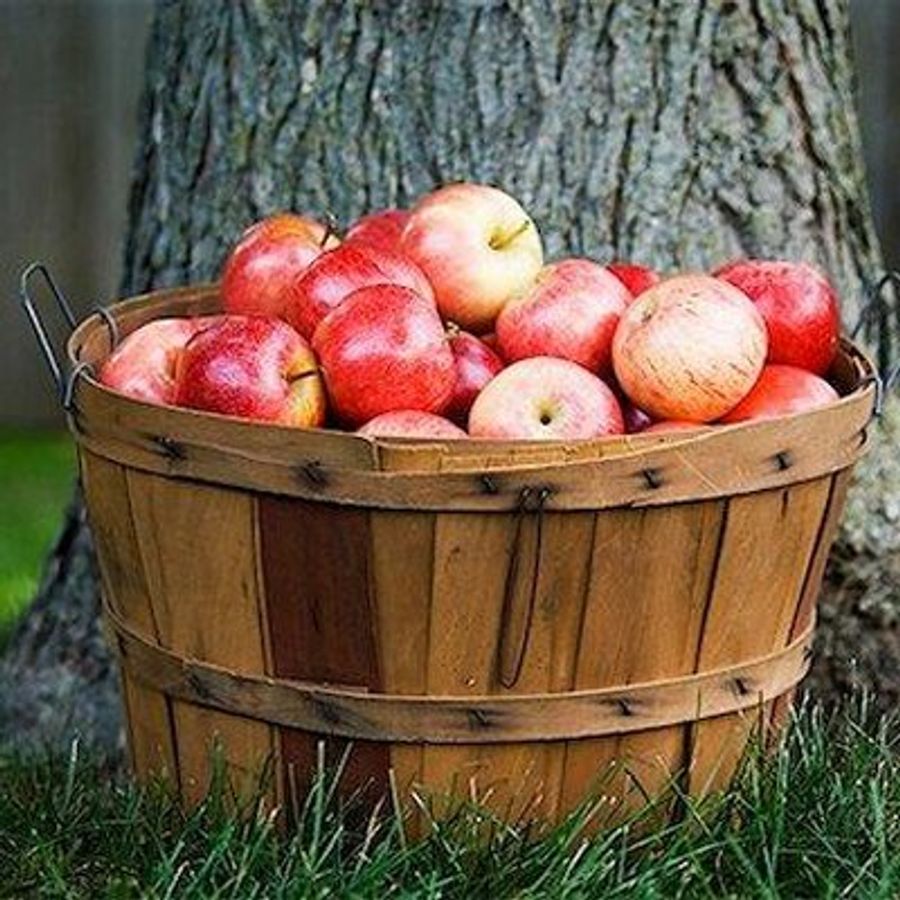 Baked ginger apples - Chatelaine