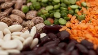 Garden veggie-lentil salad