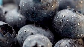 Blueberry sauce