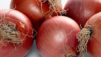 Bistro onion soup