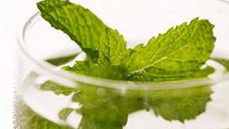 Classic mojito
