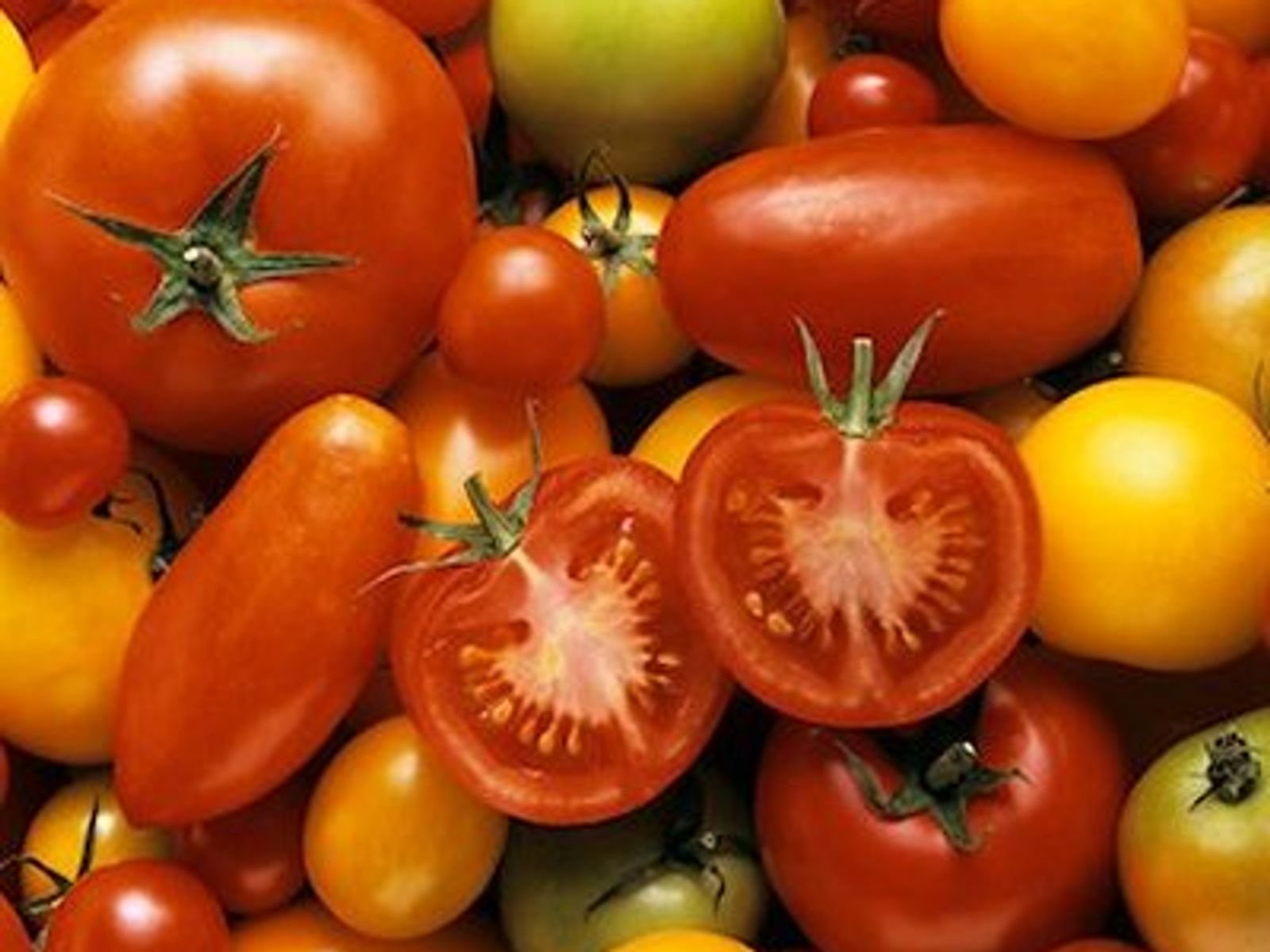 Roasted tomato toss - Chatelaine