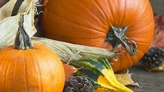 Apple-glazed roasted squash