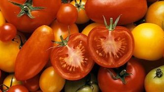 Roasted tomato toss