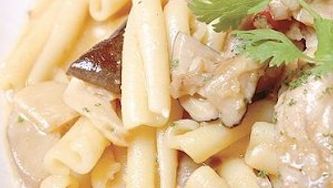 Speedy stroganoff