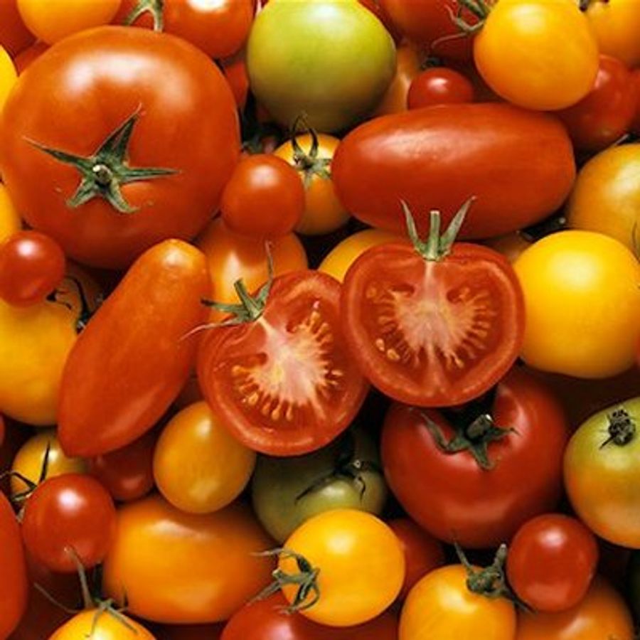 Roasted tomato toss - Chatelaine