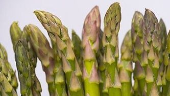 Ham and asparagus rolls