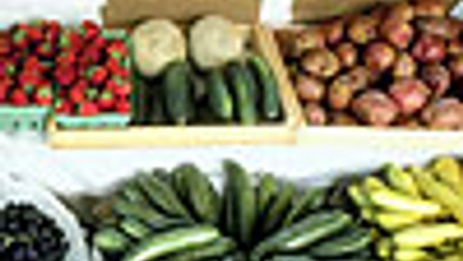 Fresh fare