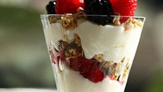 Yogurt fruit swirls