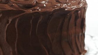 Fudgy chocolate layer cake