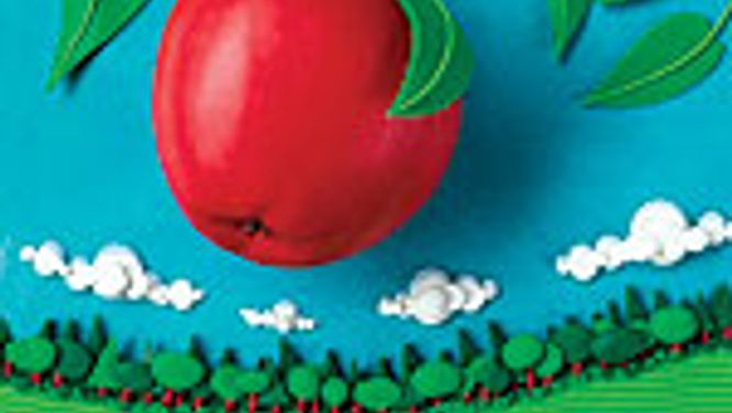 Organic food 101