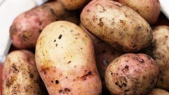 Potato & parsnip fries