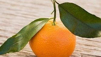 Clementine sparkle