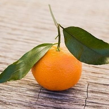Clementine sparkle