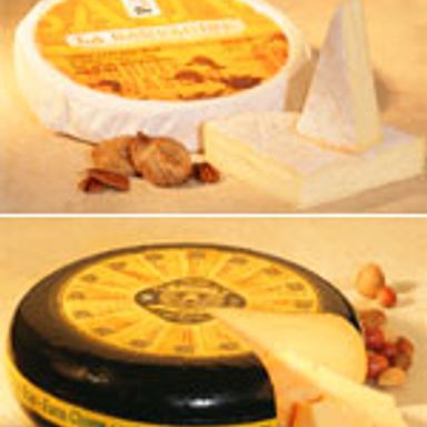 Big cheese