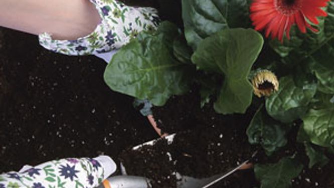 Prep your garden for spring