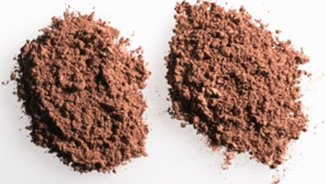 Bronzer 101