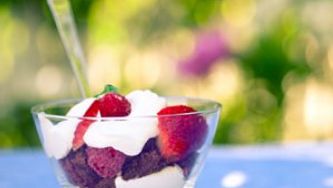 Yogourt crème fraiche