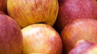 New cheddar apple salad