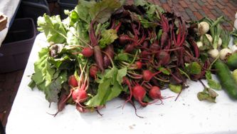 Skip to the beet