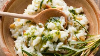 Tasty vegetarian recipes