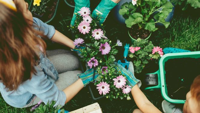How To Prep Your Garden For Warmer Weather