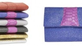 BlackBerry Purses