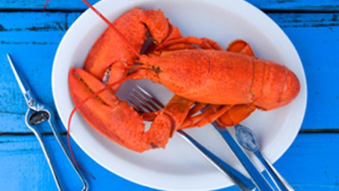 Lobster bake menu