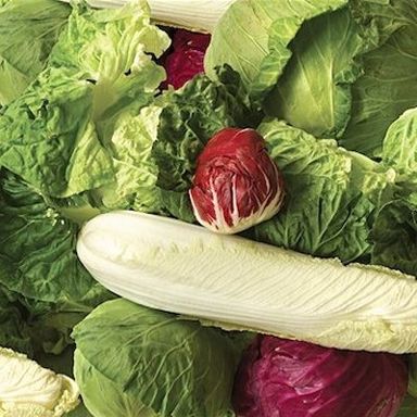 Light and creamy napa coleslaw