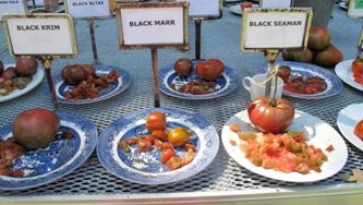 Cool food find: Lots of heirloom tomatoes