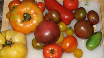 Recipes of the day: camping cookout