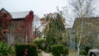 Guest blog: Lyn Chua's trip to Halifax