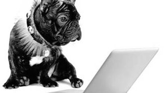 Chat with the NARS pooch