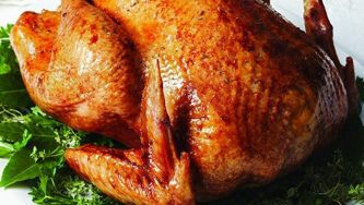 Turkey 911! Top 10 tips for a juicy holiday bird