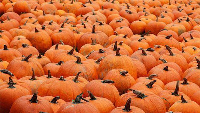 How to carve the perfect pumpkin