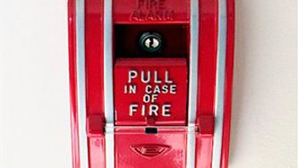 Why you need an emergency fund