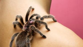 Phobias