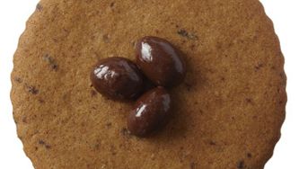 Espresso gingerbread cookie